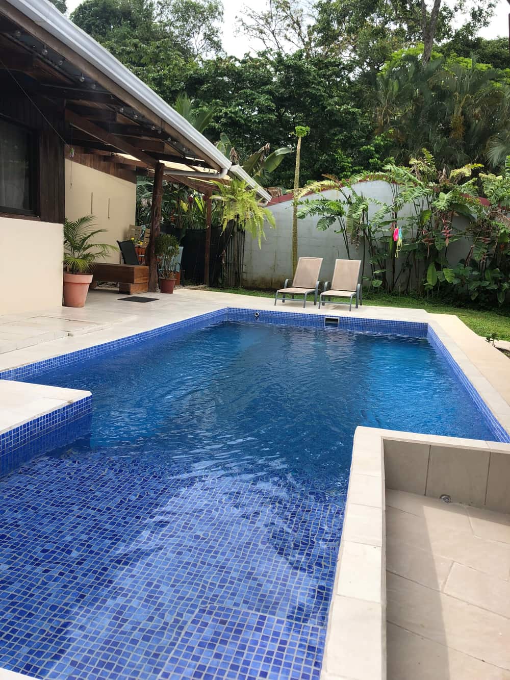 La piscina del hotel con camas de sol y pared de jungla — foto real
